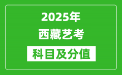 2025年西藏艺考科目及分值设置_西藏艺考满分是多少