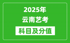 2025年云南艺考科目及分值设置_云南艺考满分是多少