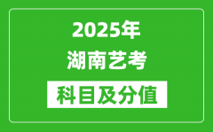 2025年湖南艺考科目及分值设置_湖南艺考满分是多少