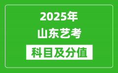 2025年山东艺考科目及分值设置_山东艺考满分是多少