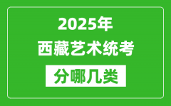 2025年西藏艺术统考类型分哪几种_都有什么项目？