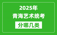 2025年青海艺术统考类型分哪几种_都有什么项目？