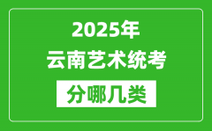 2025年云南艺术统考类型有哪几种？