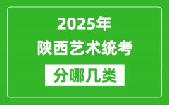 2025年陕西艺术统考类型有哪几种？