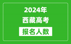 2024年西藏高考报名人数是多少_比2023年多多少人？