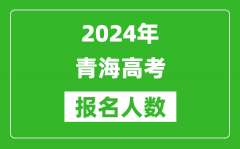 2024年青海高考报名人数是多少_比2023年多多少人？