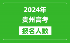 2024年贵州高考报名人数是多少_比2023年多多少人？