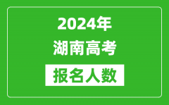 2024年湖南高考报名人数是多少_比2023年多多少人？