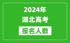 2024年湖北高考报名人数是多少_比2023年多多少人？