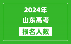 2024年山东高考报名人数是多少_比2023年多多少人？