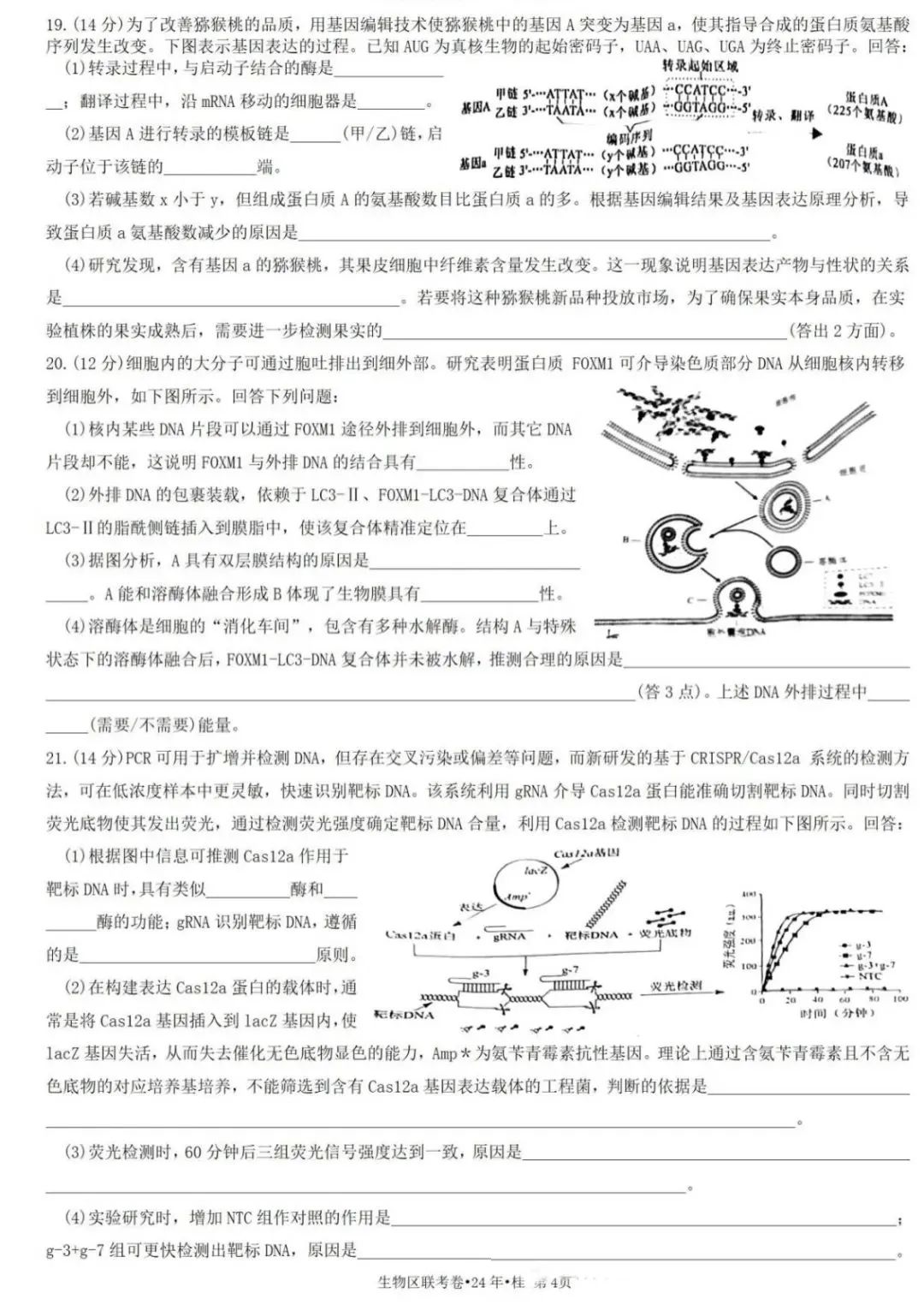 新高考2024九省联考广西生物试卷及答案解析