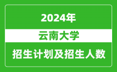 云南大学2024年在河南的招生计划和招生人数