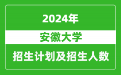 安徽大学2024年在江苏的招生计划及招生人数