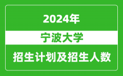 宁波大学2024年在江苏的招生计划及招生人数