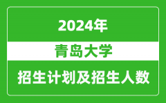 青岛大学2024年在河南的招生计划和招生人数