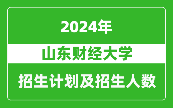 山东财经大学2024年在河南的招生计划和招生人数