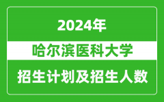 哈尔滨医科大学2024年在河南的招生计划和招生人数