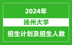 扬州大学2024年在河南的招生计划和招生人数