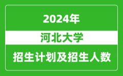 河北大学2024年在河南的招生计划和招生人数