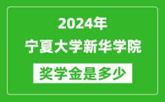 2024年宁夏大学新华学院奖学金多少钱_覆盖率是多少？