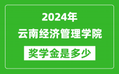 2024年云南经济管理学院奖学金多少钱_覆盖率是多少？