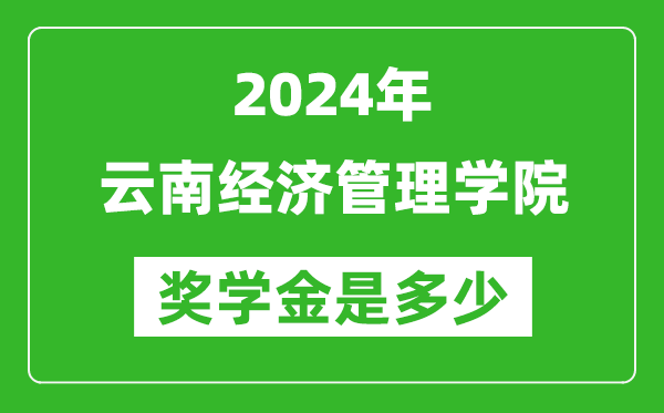 2024年云南经济管理学院奖学金多少钱,覆盖率是多少？