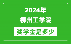 2024年柳州工学院奖学金多少钱_覆盖率是多少？