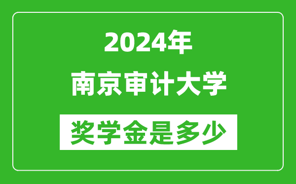 2024年南京审计大学奖学金多少钱,覆盖率是多少？