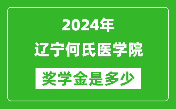 2024年辽宁何氏医学院奖学金多少钱,覆盖率是多少？