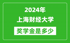 2024年上海财经大学奖学金多少钱_覆盖率是多少？