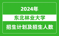 东北林业大学2024年在河南的招生计划和招生人数