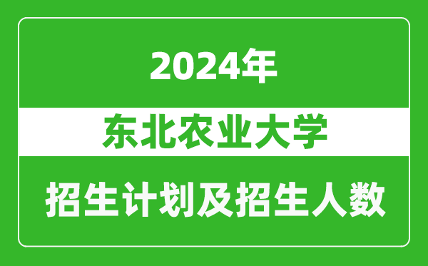 东北农业大学2024年在河南的招生计划和招生人数