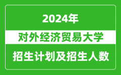 对外经济贸易大学2024年在河南的招生计划和招生人数