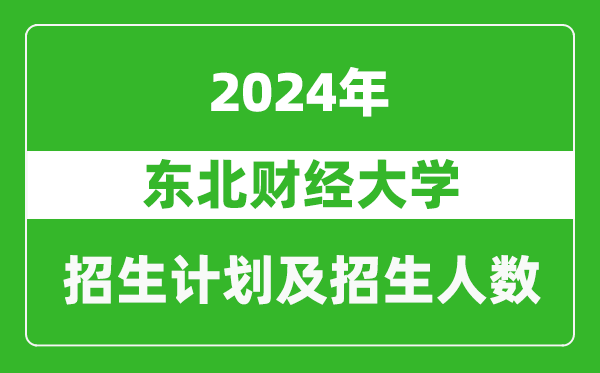 东北财经大学2024年在天津的招生计划及招生人数