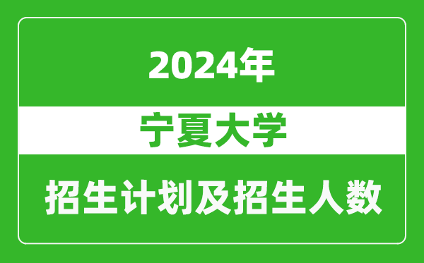 宁夏大学2024年在天津的招生计划及招生人数