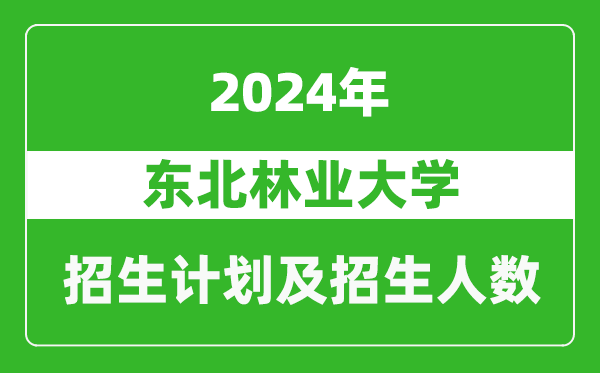 东北林业大学2024年在天津的招生计划及招生人数