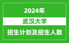 武汉大学2024年在重庆的招生计划及招生人数