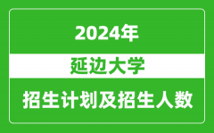 延边大学2024年在重庆的招生计划及招生人数