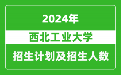 西北工业大学2024年在上海的招生计划及招生人数