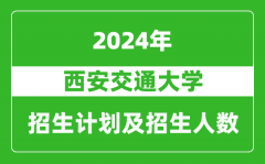 西安交通大学2024年在上海的招生计划及招生人数