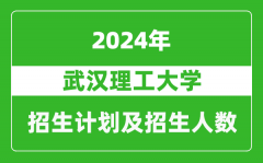 武汉理工大学2024年在上海的招生计划及招生人数