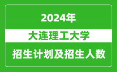 大连理工大学2024年在上海的招生计划及招生人数