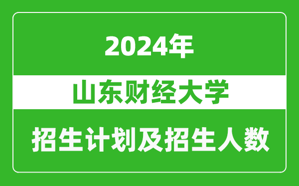 山东财经大学2024年在北京的招生计划及招生人数