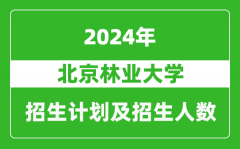 北京林业大学2024年在北京的招生计划及招生人数