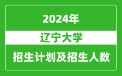 辽宁大学2024年在海南的招生计划及招生人数