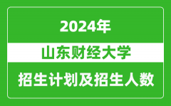 山东财经大学2024年在宁夏的招生计划及招生人数