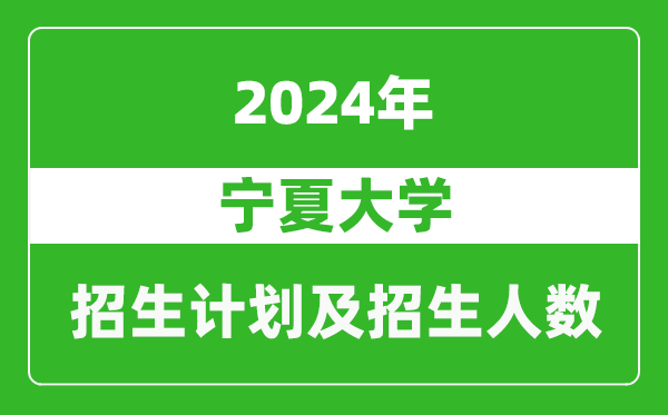 宁夏大学2024年在宁夏的招生计划及招生人数