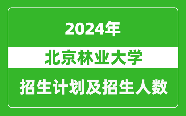 北京林业大学2024年在宁夏的招生计划及招生人数