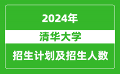 清华大学2024年在西藏的招生计划及招生人数