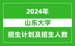 山东大学2024年在青海的招生计划及招生人数